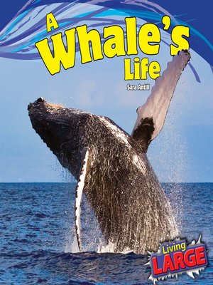 cover image of A Whale's Life